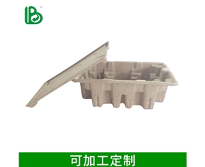 電子學(xué)習(xí)機紙托